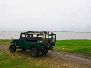 kaudulla-national-park-srilanka-hayalanka