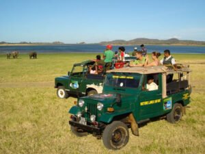 yala-national-park-haya-lanka